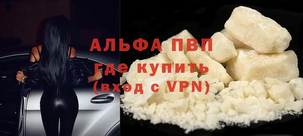 гидра Бронницы