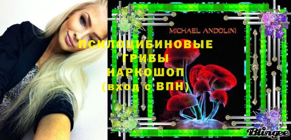 гидра Бронницы