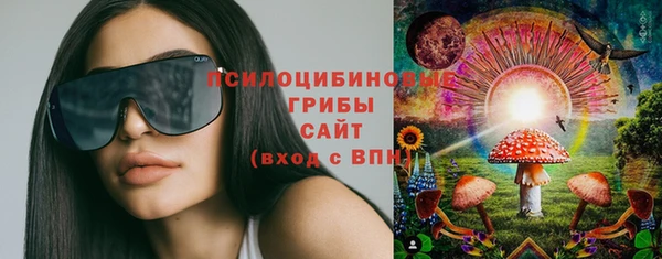 MDMA Богородицк
