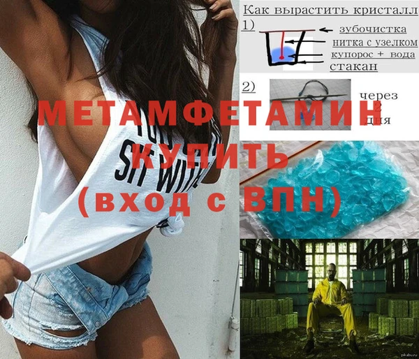 прущие грибы Жердевка