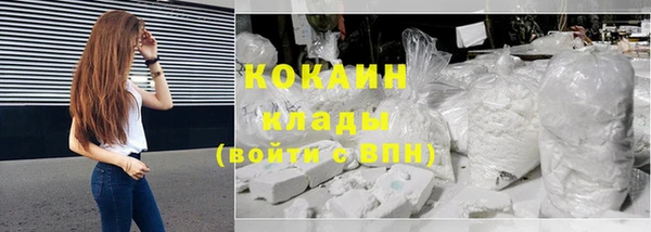 стафф Бородино