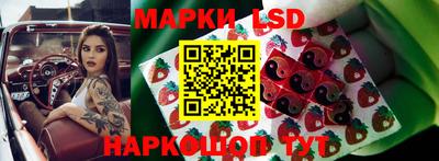 мдпв Жуковский