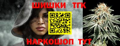 мдпв Жуковский