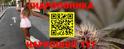 стафф Заволжье