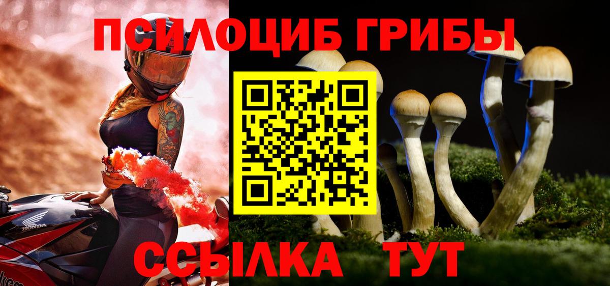 даркнет сайт  Галлюциногенные грибы прущие грибы  Вход с VPN  Минеральные Воды 