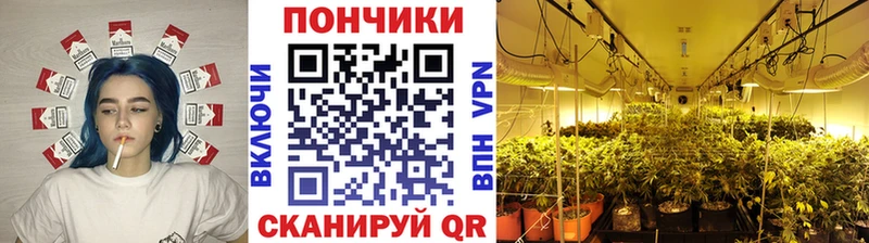 МЕГА как войти  где купить   Минеральные Воды  Шишки марихуана OG Kush 